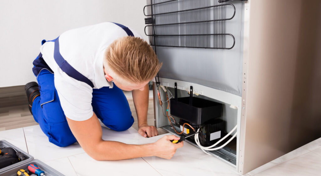 Best Appliance fixing refrigerator